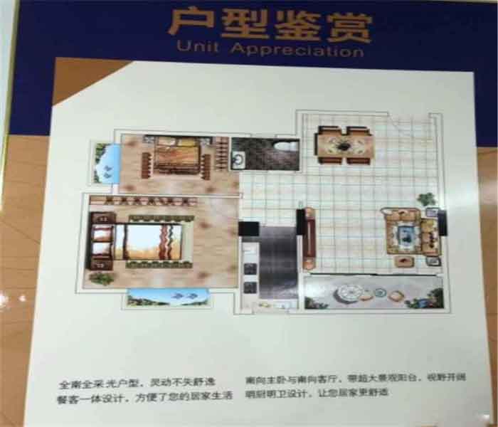 樟木頭小產權房:荔園新城