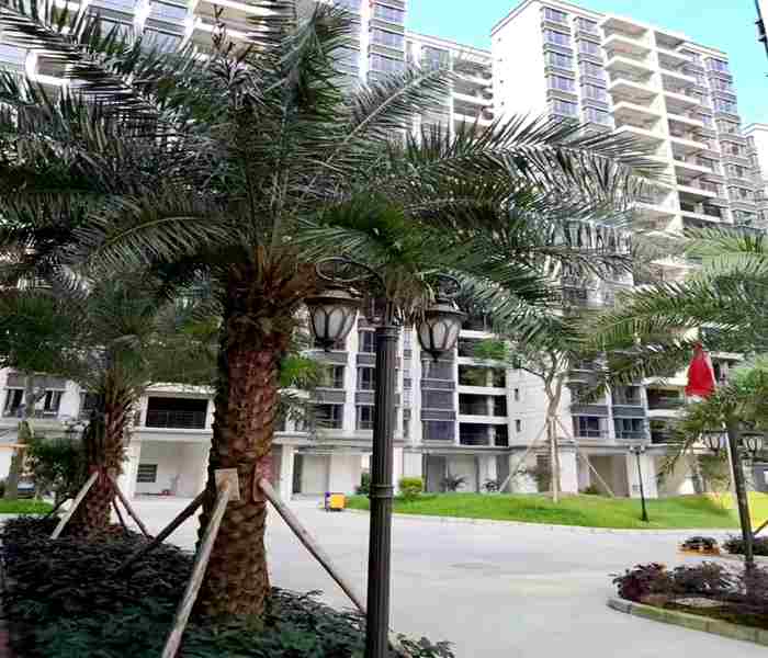 惠州小產權房-盛世麗都