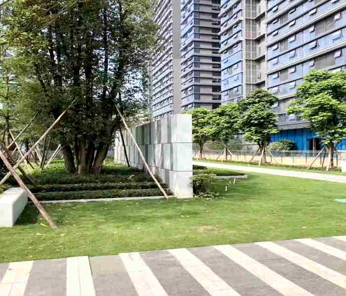 深圳市觀瀾小產權房-瀾嶺九著