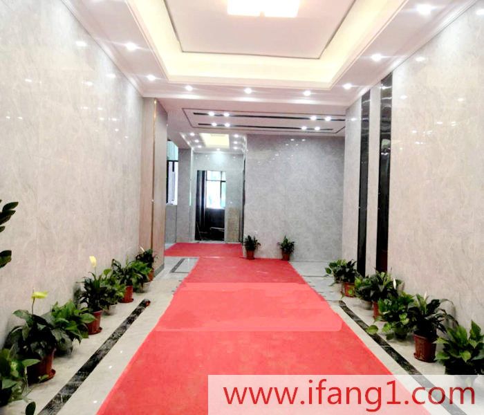 東莞長安小產權房