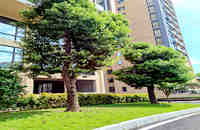 鳳崗小產權房買賣:鳳崗花園5棟花園小區房