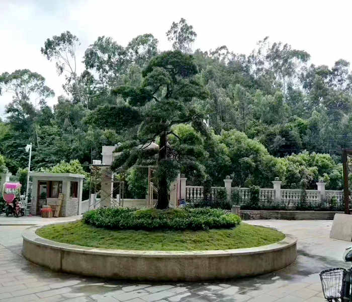 長安小產權價格