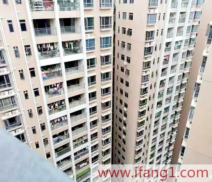 觀瀾村委統建樓